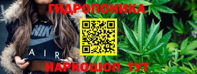бошки Новозыбков